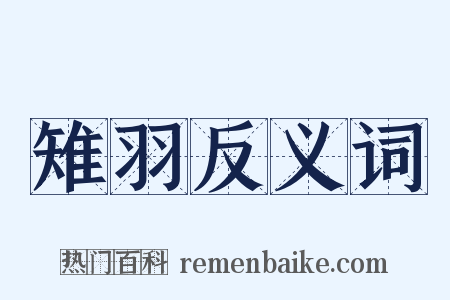 雉羽反义词是什么意思的图片